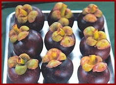 Mangosteen Fruit - packed with healthful Xanthones