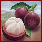 Mangosteen Fruit is Packed with Xanthones