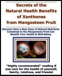 Benefits of Mangosteen Fruit