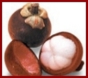 Mangosteen Information