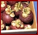 Mangosteen Information